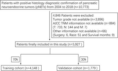 Construction and validation of a nomogram for patients with pancreatic neuroendocrine tumors: A population study of 5,927 patients